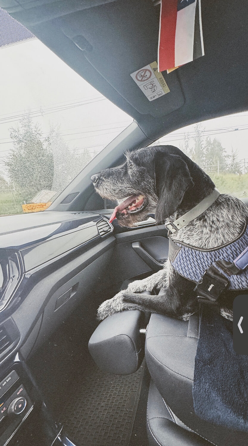 290 - Momento VW - Josefina Carrasco Kunz