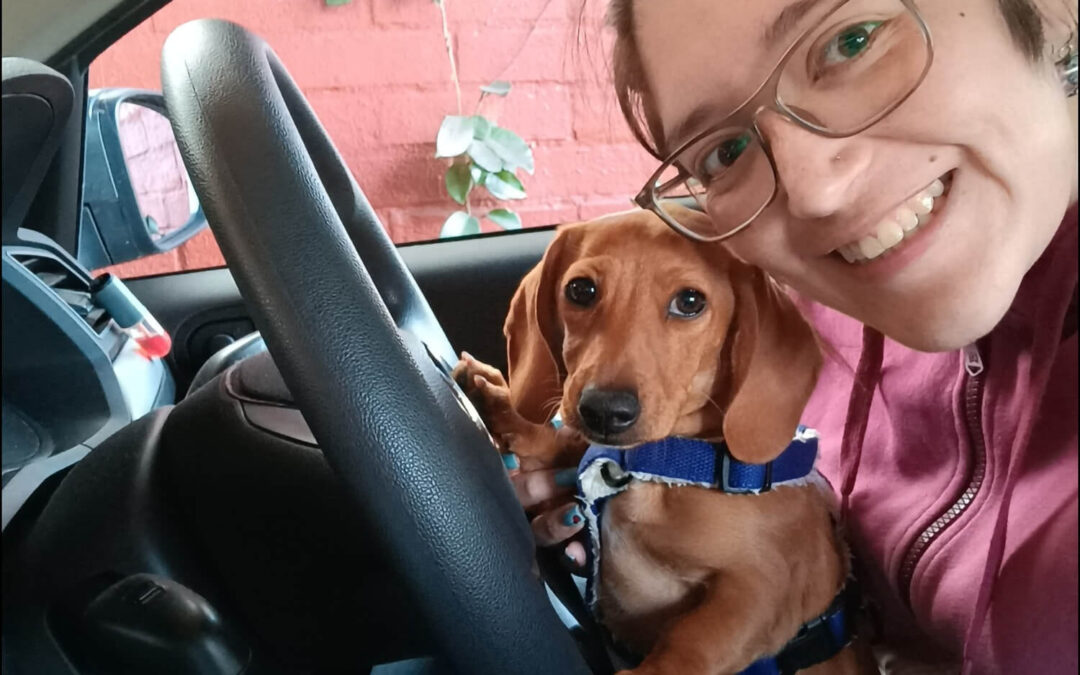 291 – Momento VW – Allisson schneider