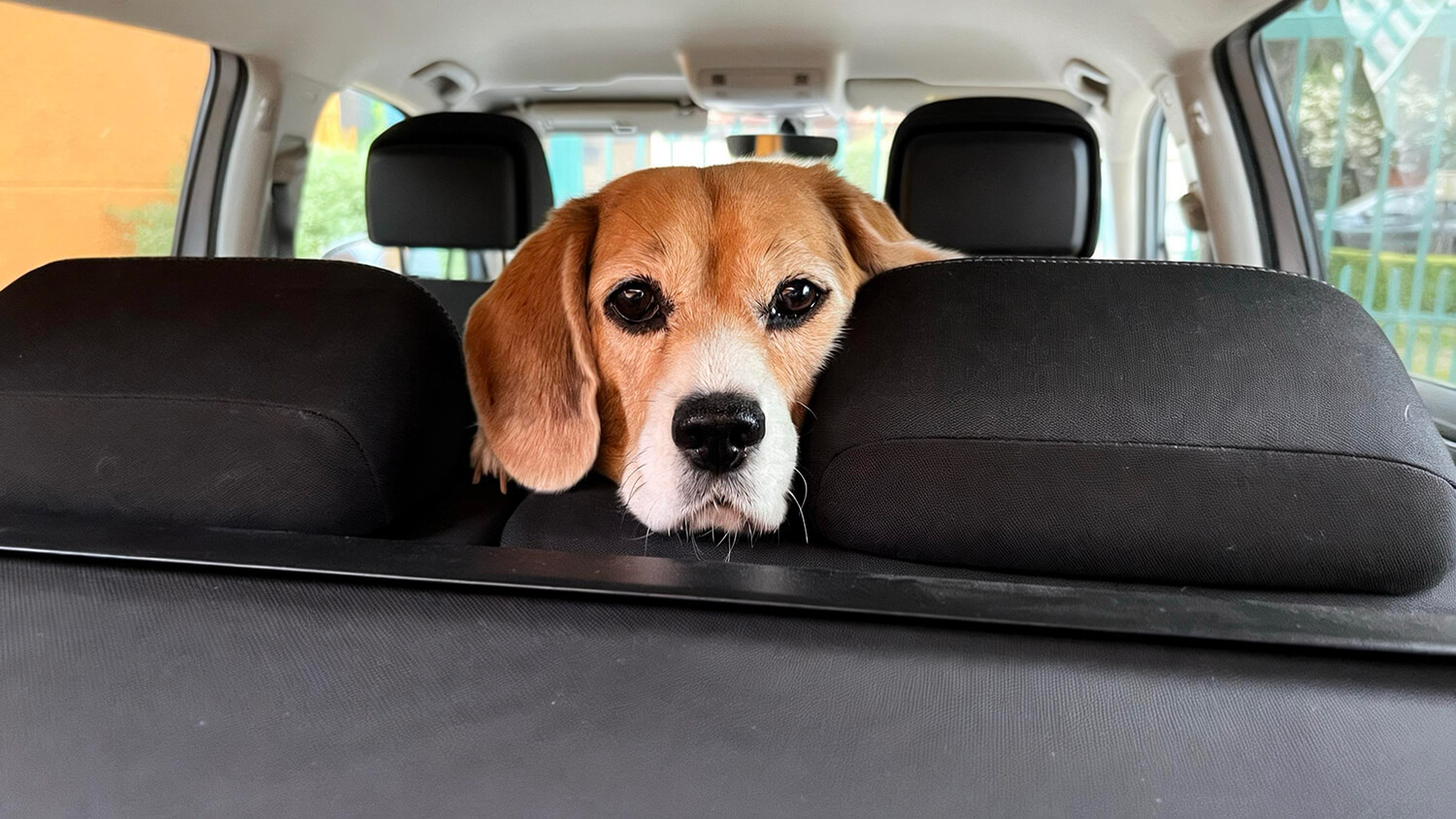 292 - Momento VW - Gabriela Barahona