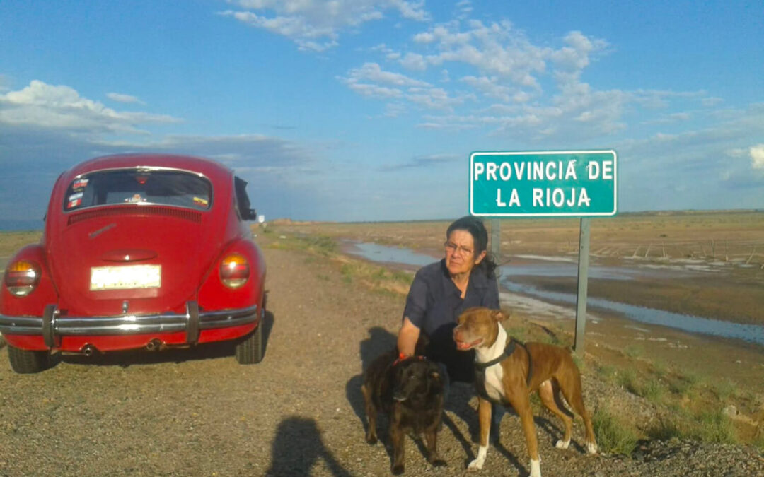 293 – Momento VW – Adrián Mauricio Murillo Castaño