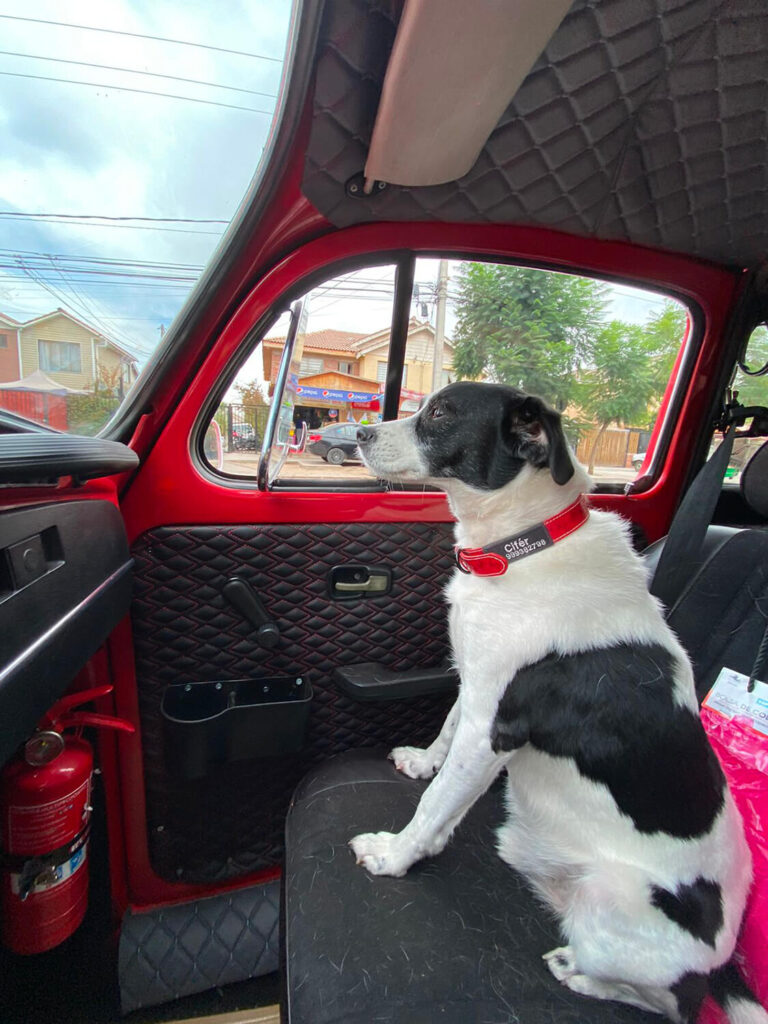 295 - Momento VW - Luis Ossa