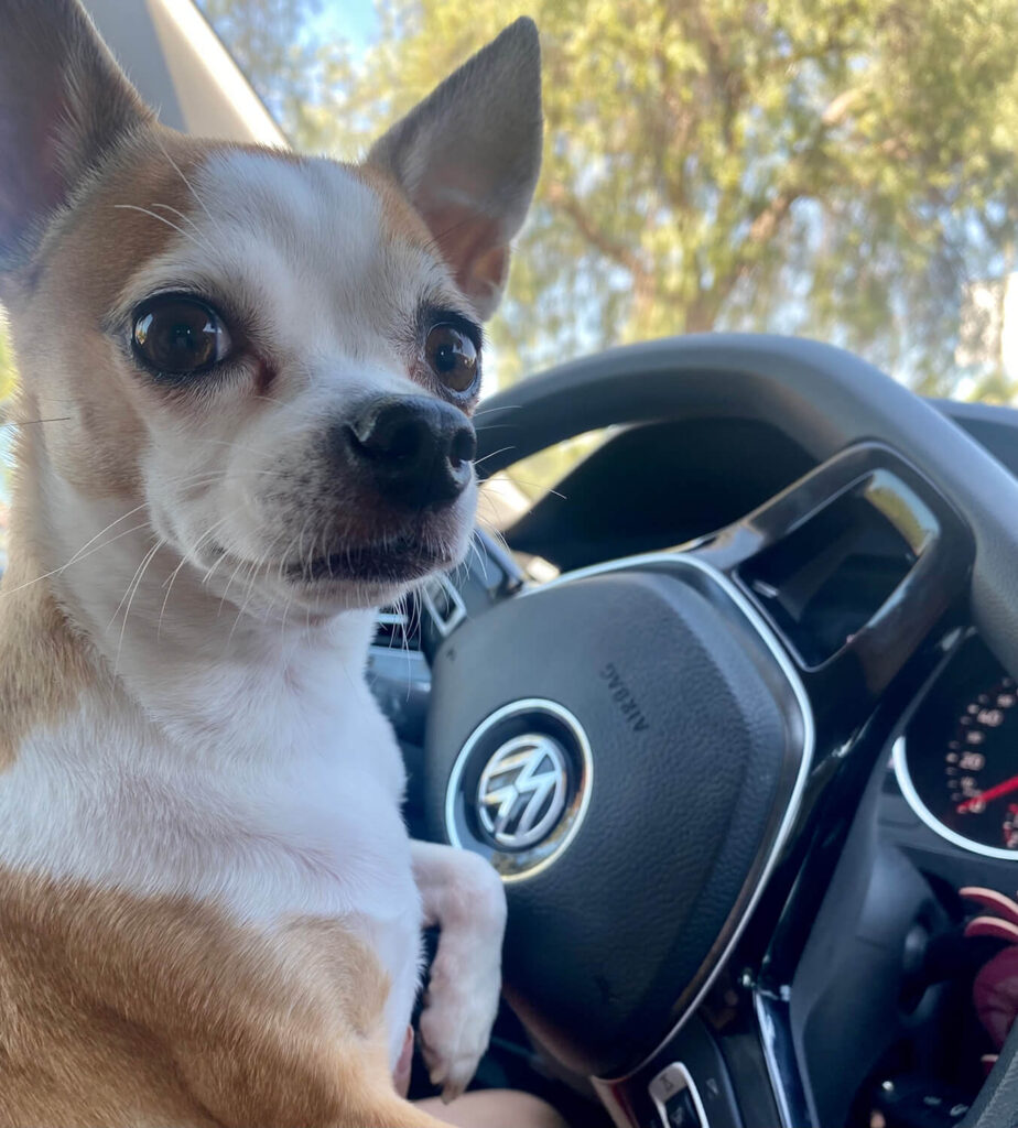 296 - Momento VW - Alejandra Sepulveda Rebolledo