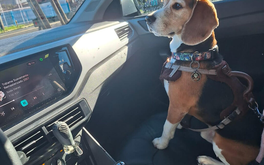 297 – Momento VW – Sergio