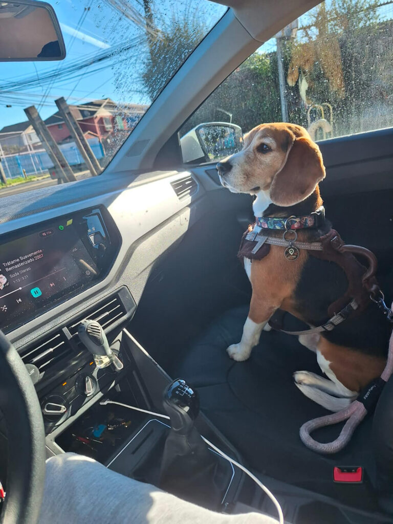 297 - Momento VW - Sergio