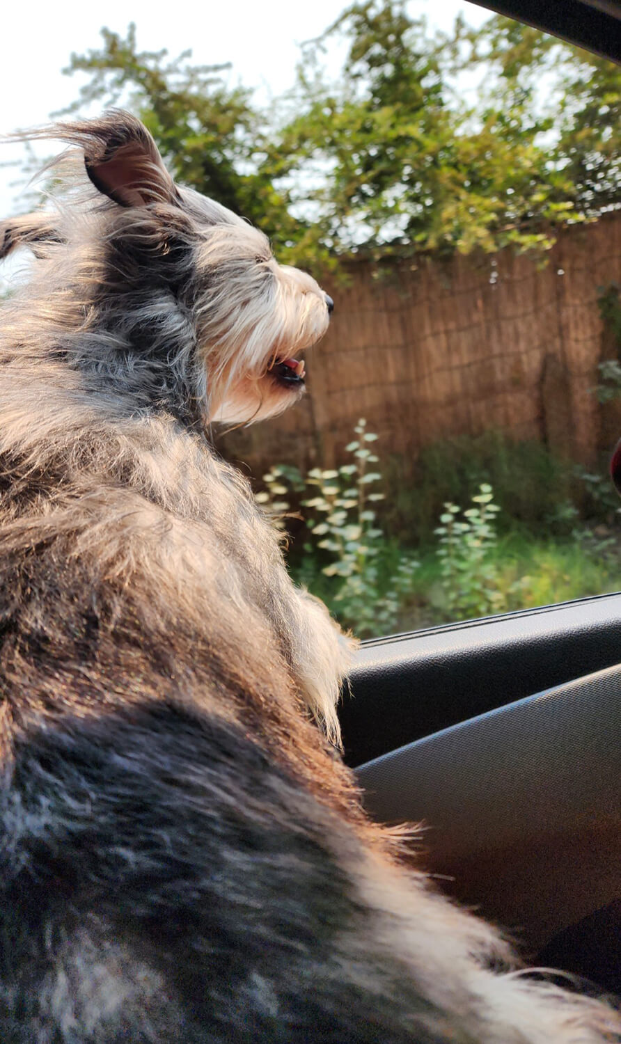 298 - Momento VW - Manuel