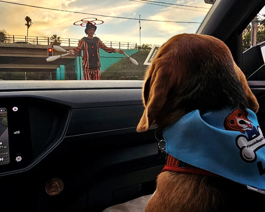 299 – Momento VW – Nicole Díaz