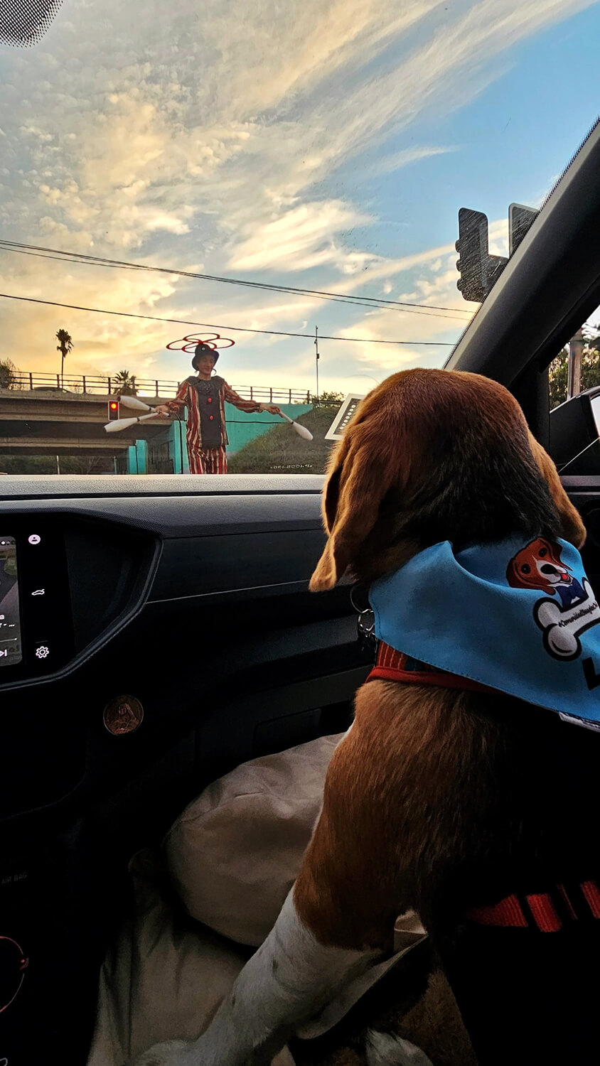 299 - Momento VW - Nicole Díaz