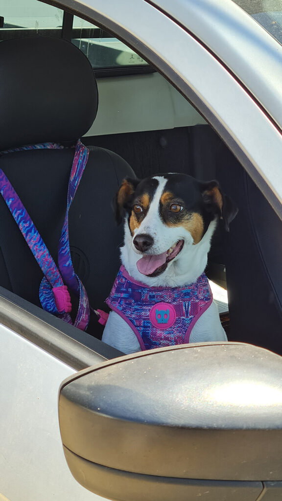 300 - Momento VW - Jaime Carrasco