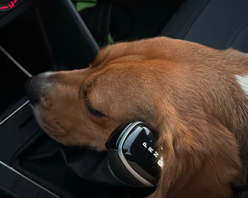 304 – Momento VW – Marie