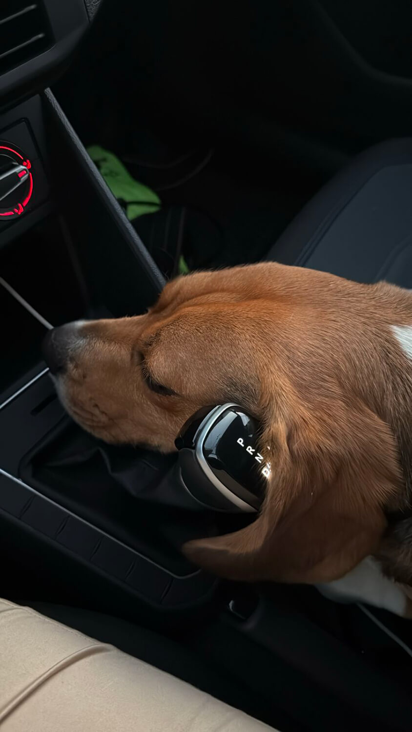 304 - Momento VW - Marie