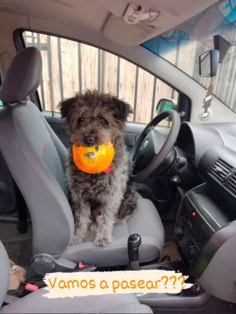 306 - Momento VW - Nelly Galvez Toro