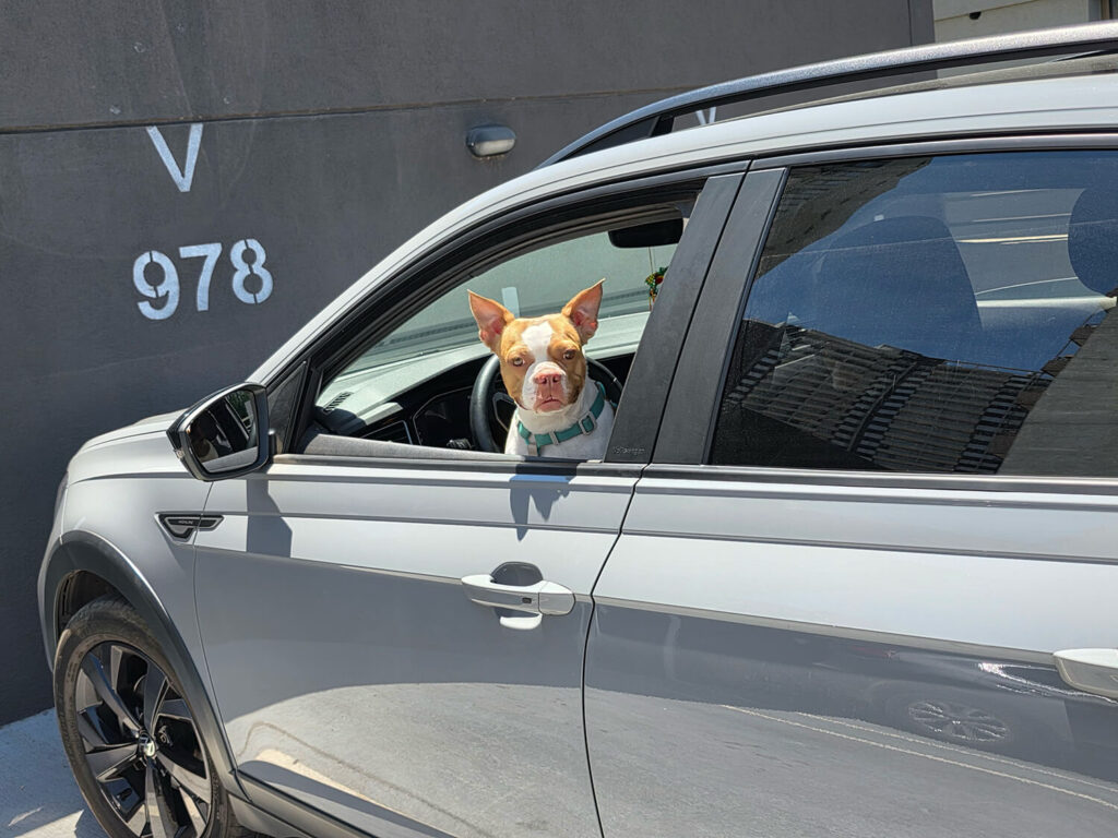 307 - Momento VW - Sebastian Restrepo