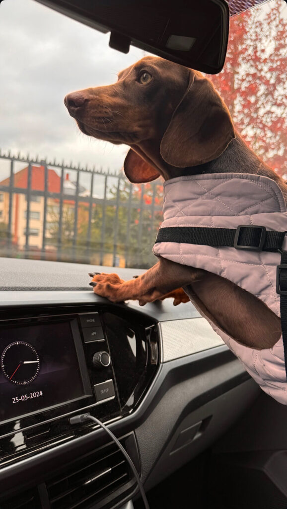 308 - Momento VW - Marce Castro Sotomayor