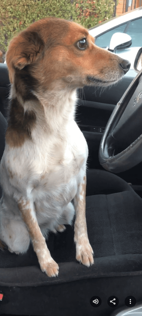 309 - Momento VW - Marianela Muscat Napis