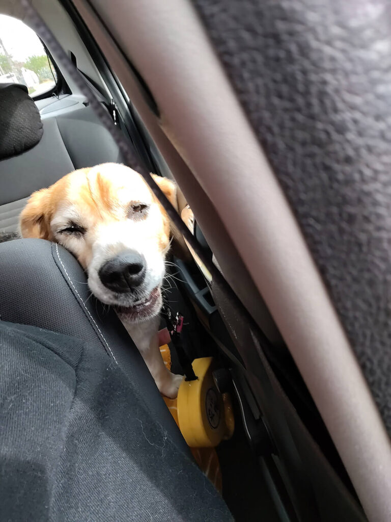 310 - Momento VW - Constanza Fernández