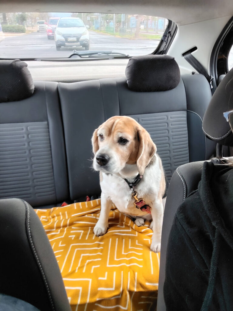 311 - Momento VW - Constanza Fernández