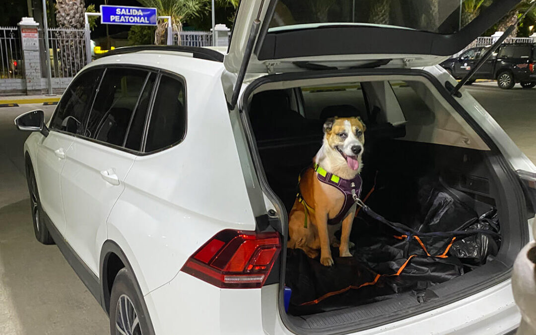 312 – Momento VW – Jeremias Fuentealba Opazo