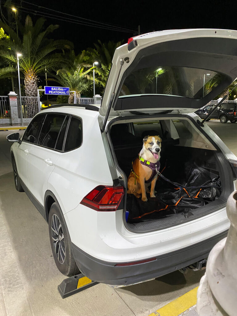 312 - Momento VW - Jeremias Fuentealba Opazo