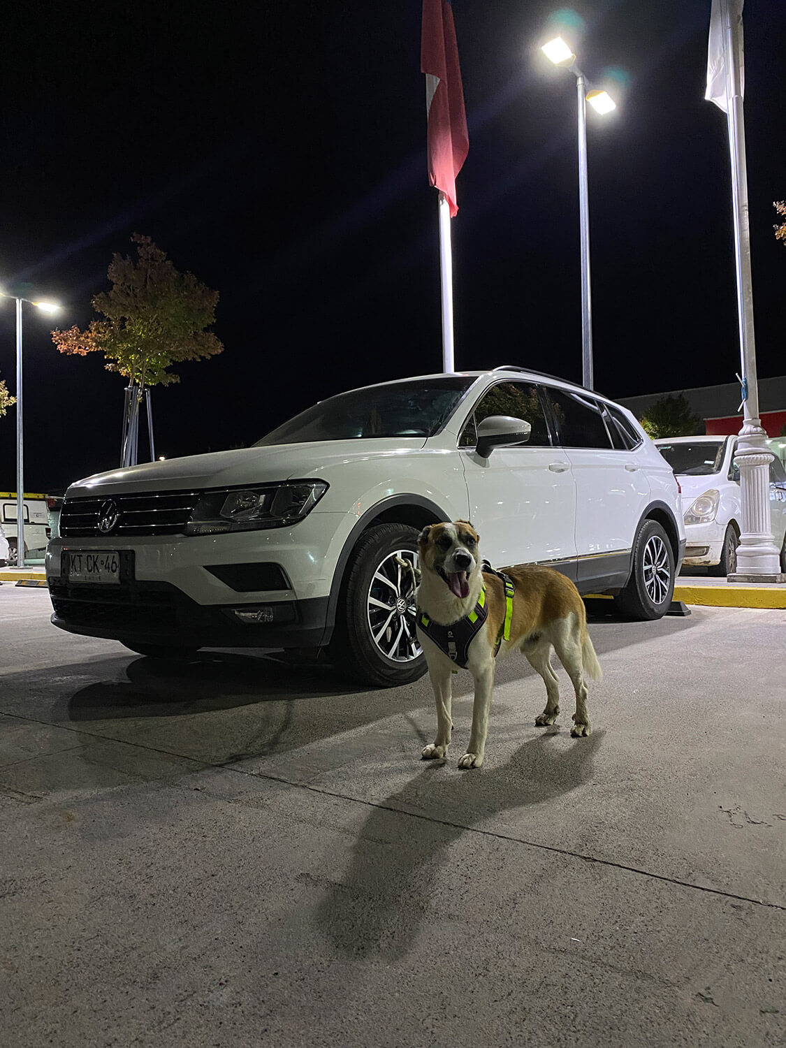 313 - Momento VW - Jeremias Fuentealba Opazo