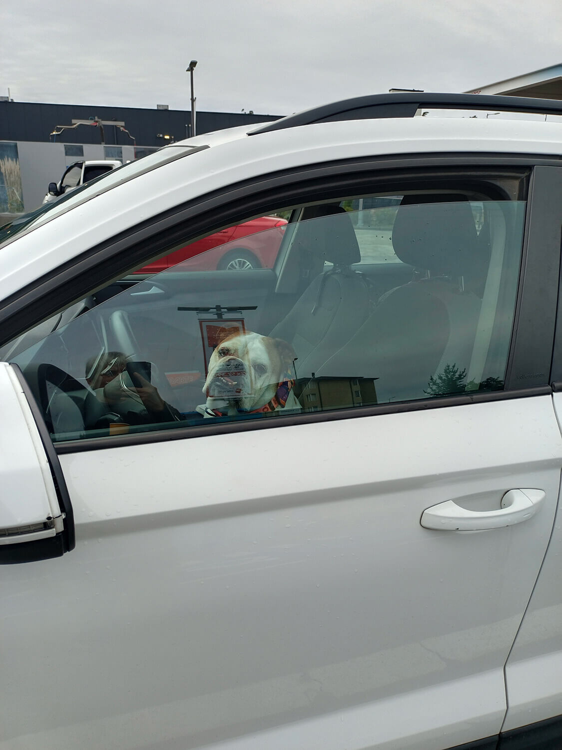 314 - Momento VW - Carolina Perez