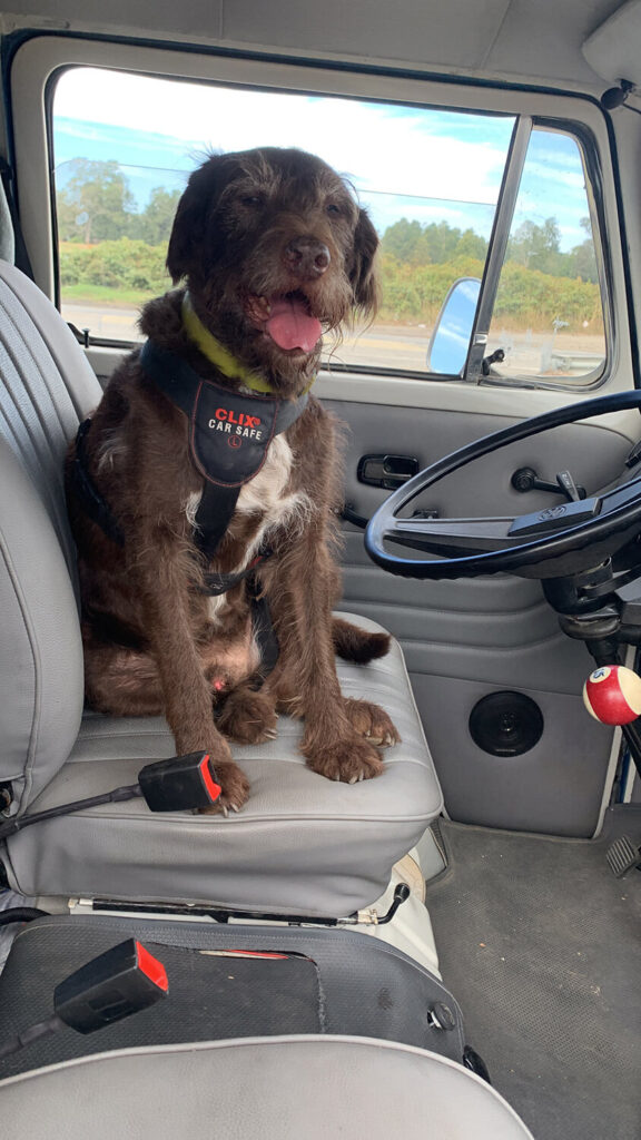 315 - Momento VW - gloria muente