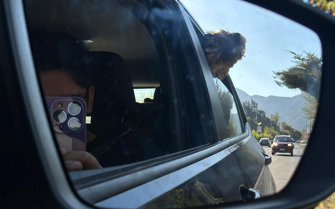 316 – Momento VW – Daniela Silva