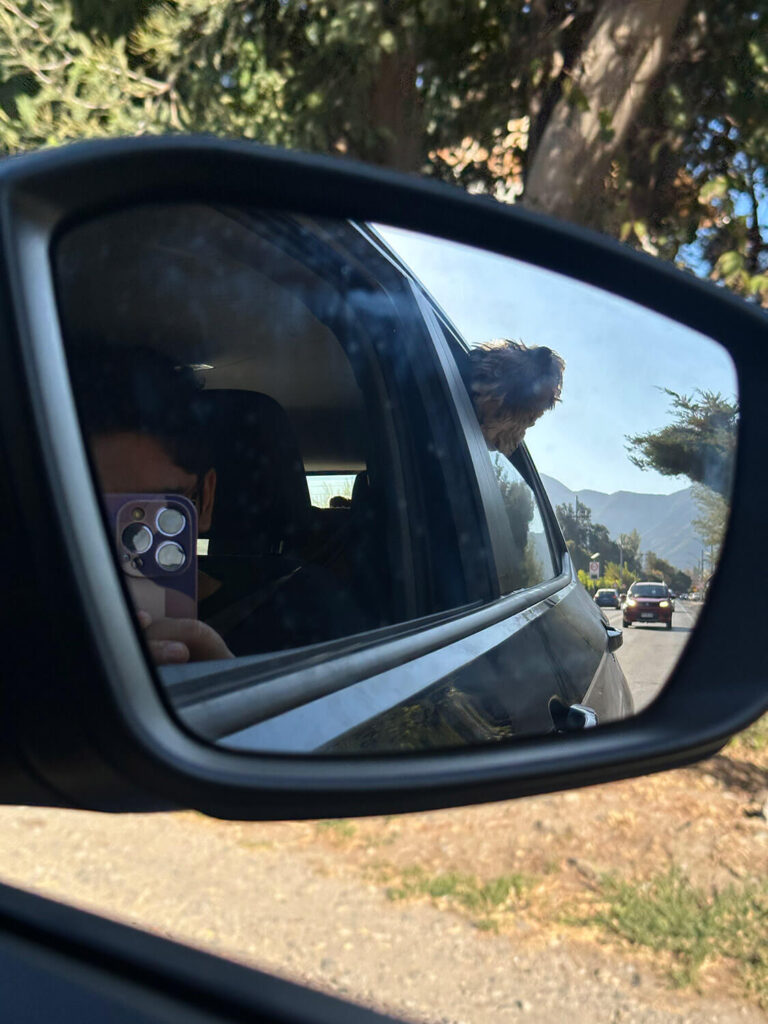 316 - Momento VW - Daniela Silva