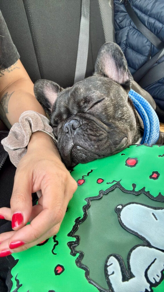 318 - Momento VW - Constanza Espinoza Capitani