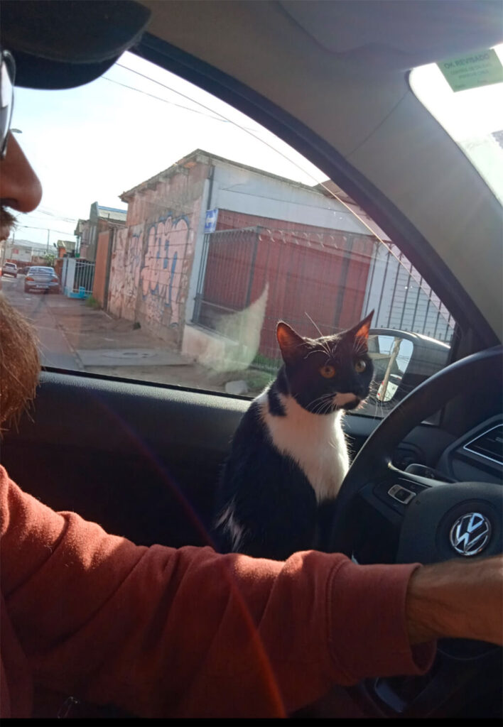 321 - Momento VW - Anilette Zarate