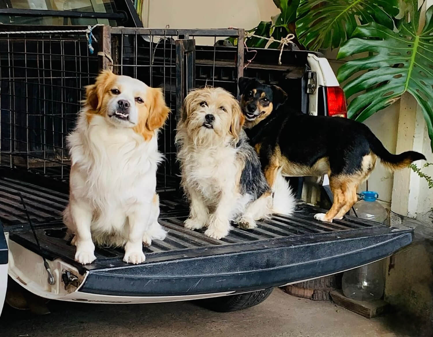 322 - Momento VW - Valeska Oses