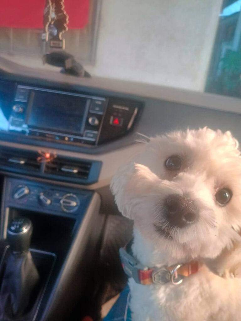 324 - Momento VW - Slomi Vargas