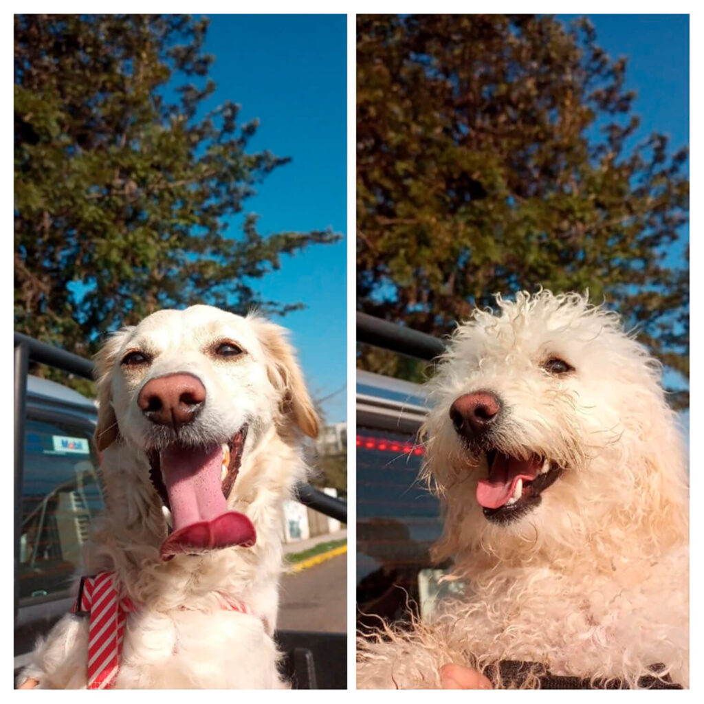 325 - Momento VW - Ingrid