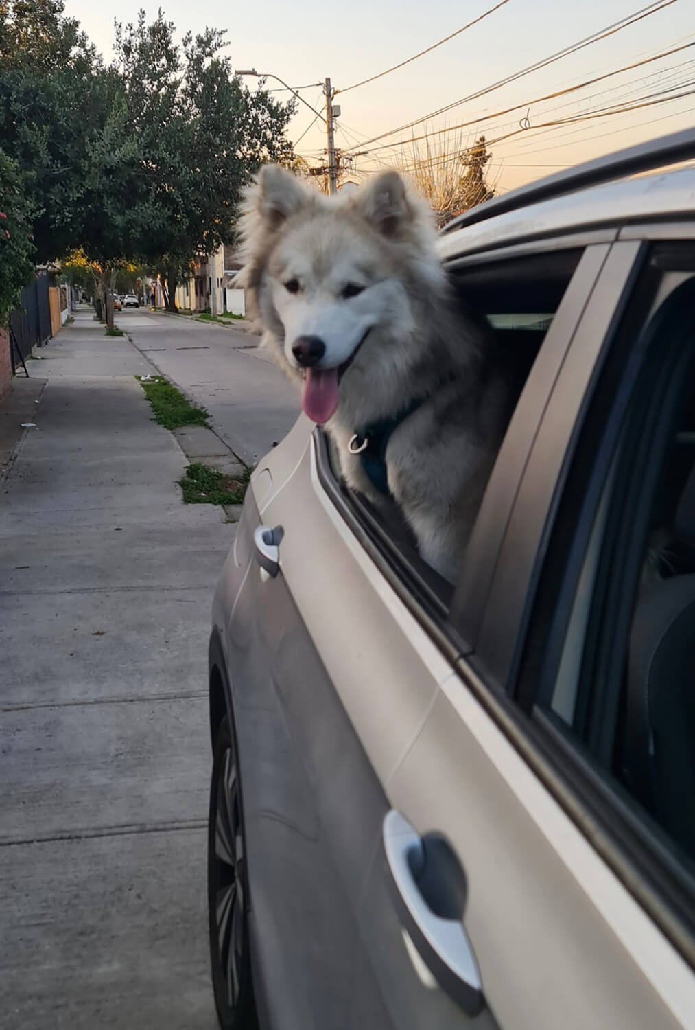 326 - Momento VW - Daniel Cea