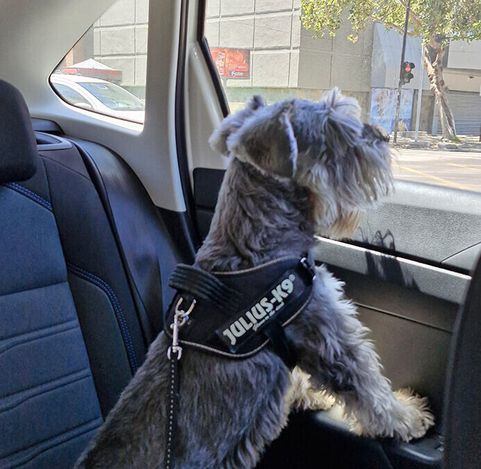 327 – Momento VW – María Piedad Silva