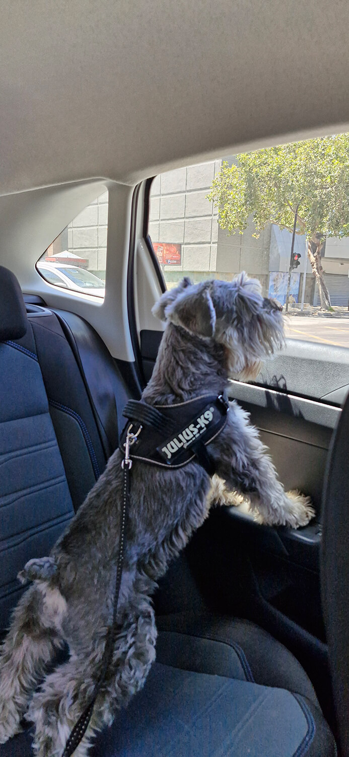 327 - Momento VW - María Piedad Silva