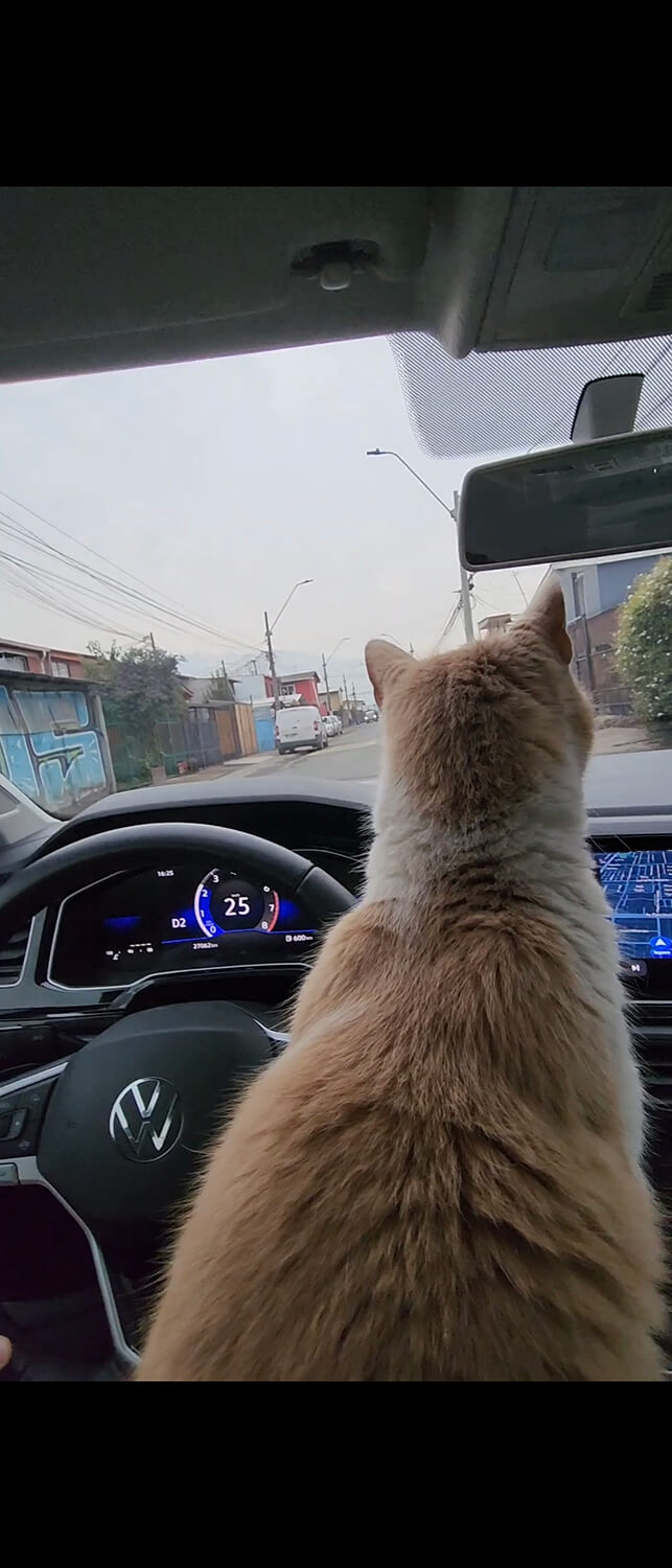 328 - Momento VW - Julio Mateluna Moraga