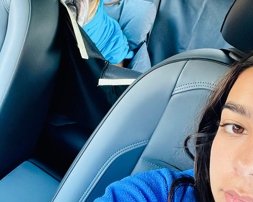 329 – Momento VW – Constanza Muñoz