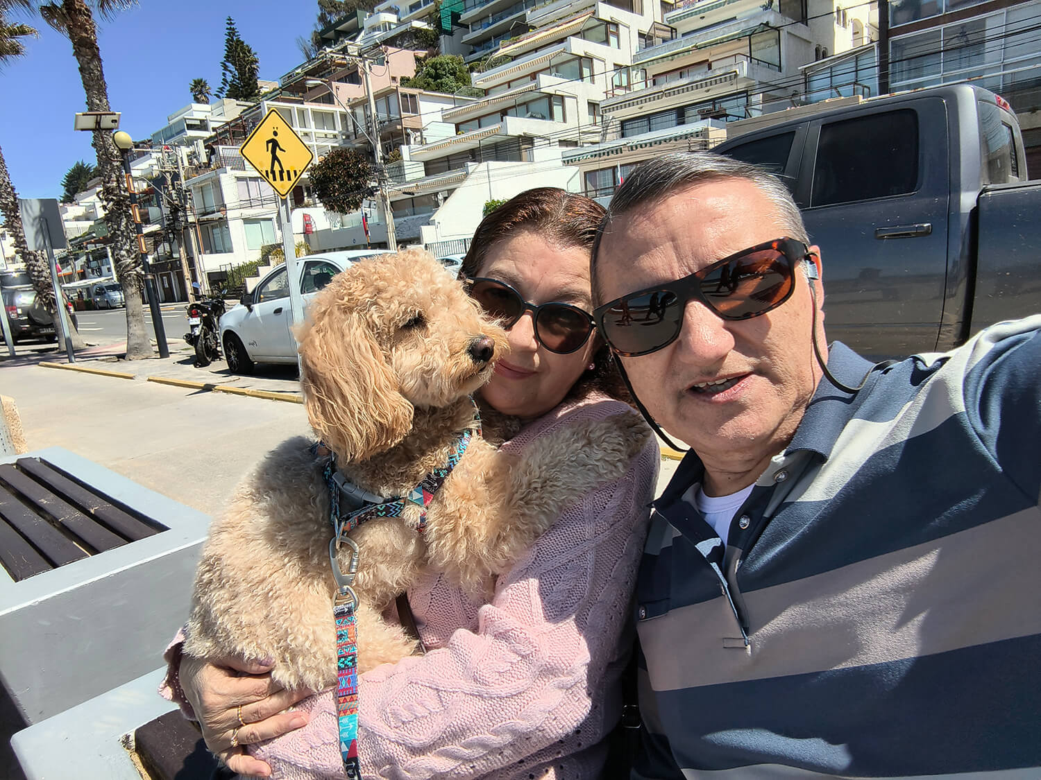 332 - Momento VW - Ricardo Meneses Cañón