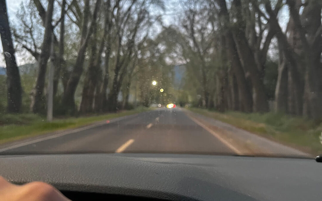 339 – Momento VW – Matias Alejandro Valladares