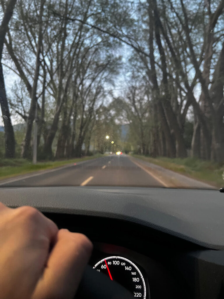 339 - Momento VW - Matias Alejandro Valladares