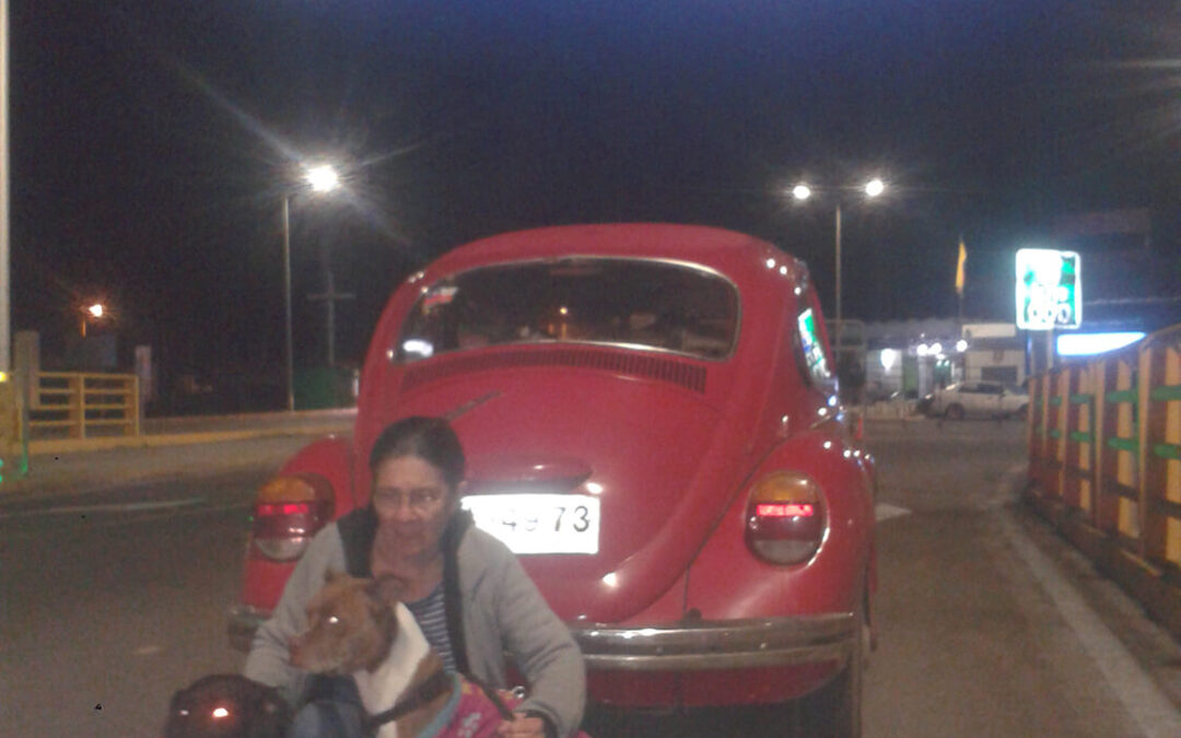 343 – Momento VW – Marlén Deybith Castaño Patino