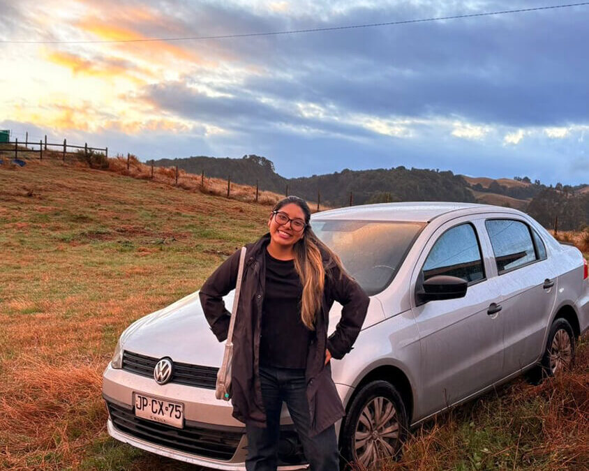 355 – Momento VW – Grace