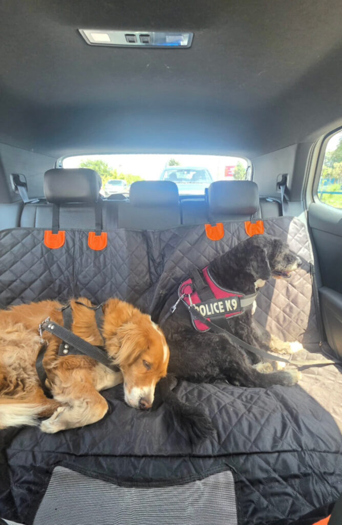 368 - Momento VW - Claudia Toro