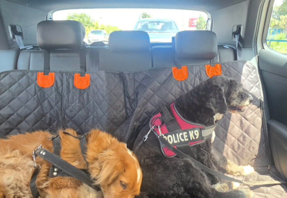 368 – Momento VW – Claudia Toro