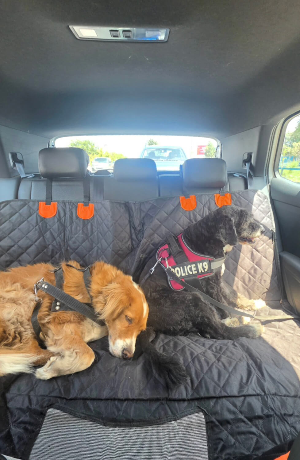 368 - Momento VW - Claudia Toro