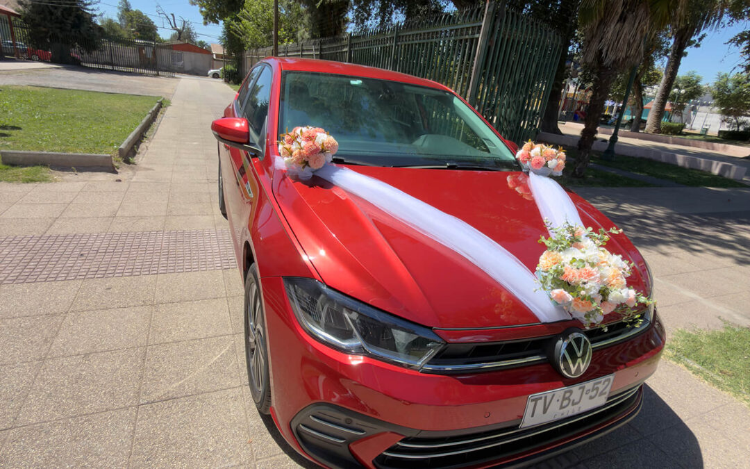 377 – Momento VW – Roxana Moya Flores