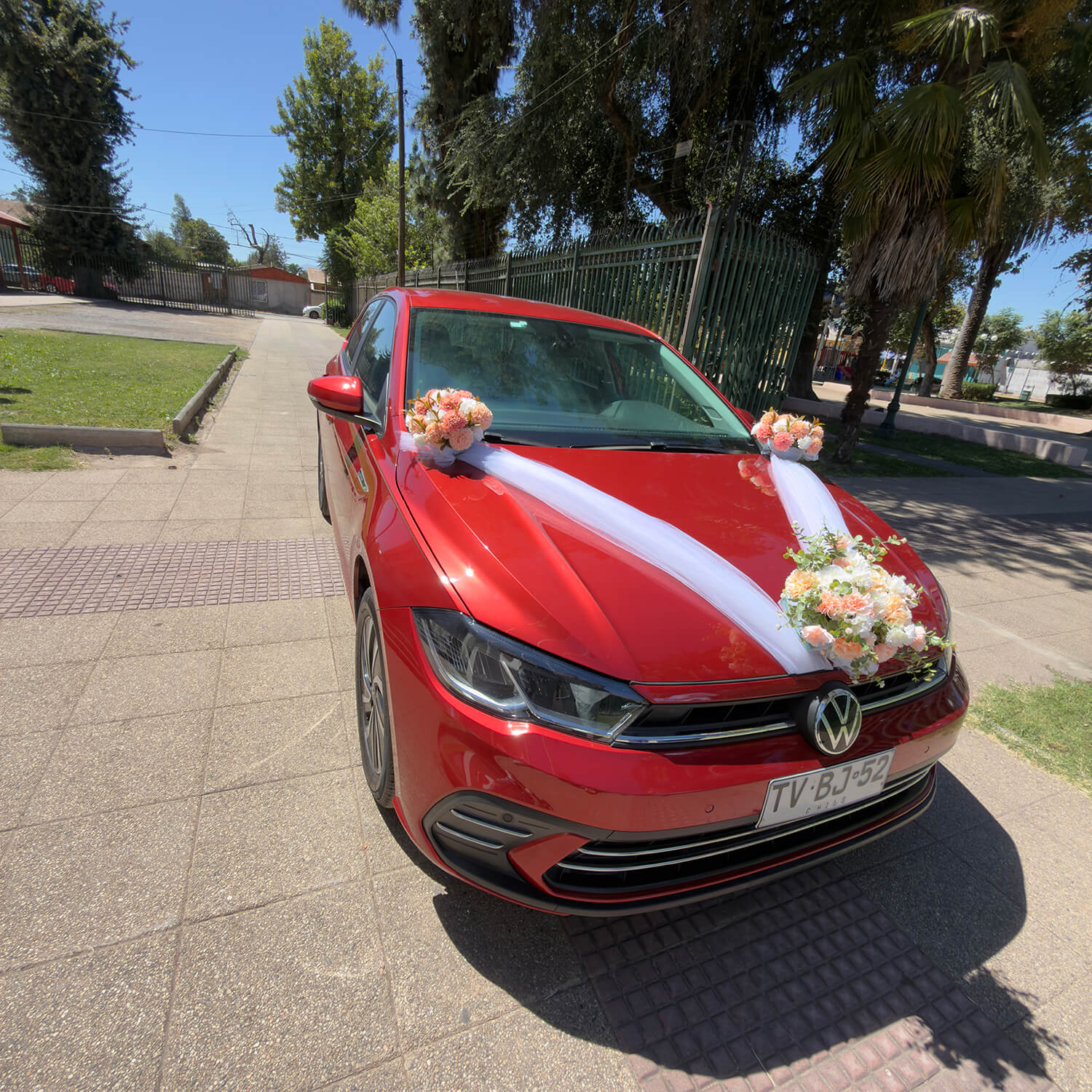377 - Momento VW - Roxana Moya Flores