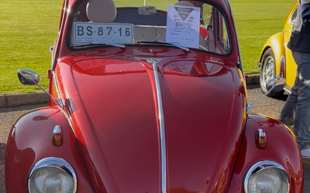 424 – Momento VW – Alejandra Pérez Leyton