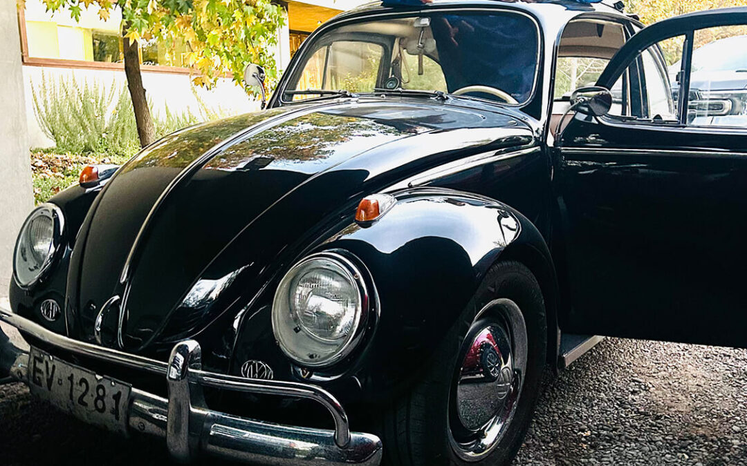441 – Momento VW – Felipe Alarcon