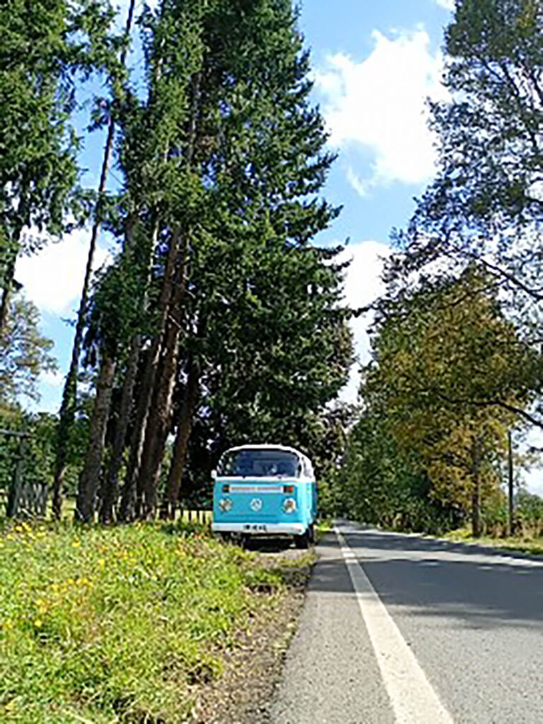 466 - Momento VW - Daniela Monje